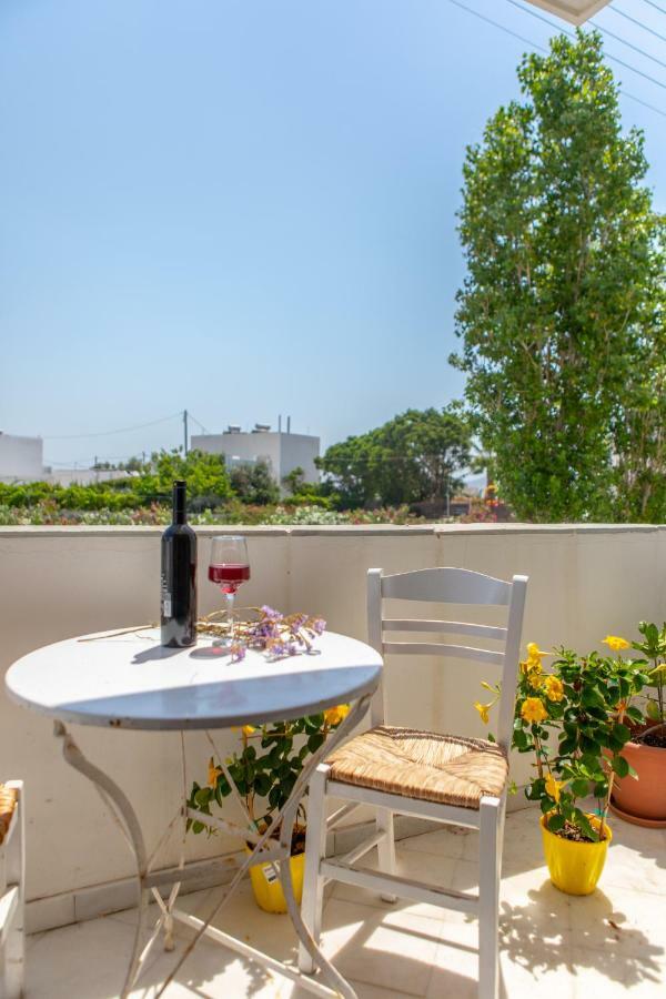 Apanemi Beachhouse Naxos City Exterior foto
